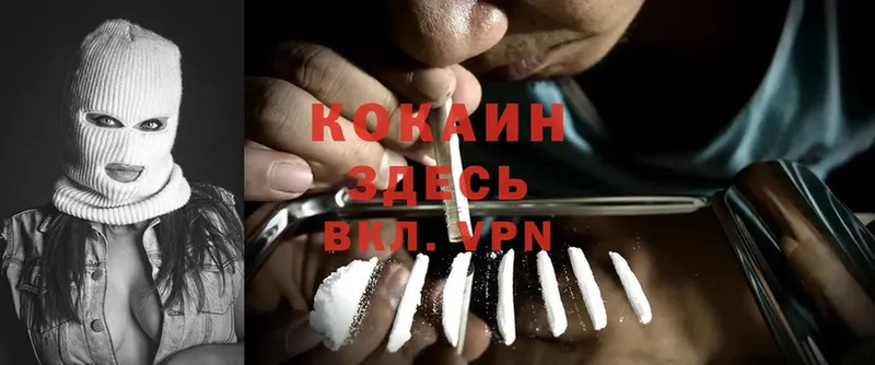 Cocaine Эквадор  ОМГ ОМГ как войти  Касимов 